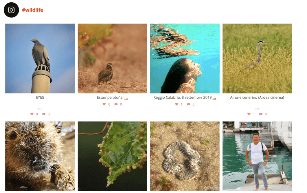1.-smashballoon-feed-example - Blog Tyrant An example of an Instagram hashtag feed from Smash Balloon
