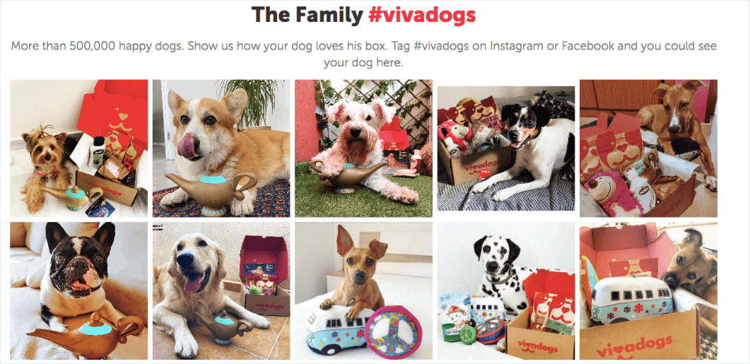 1.-vivadogs - Blog Tyrant Vivadogs is an example of social proof. They show photos of their customer's dogs with their product