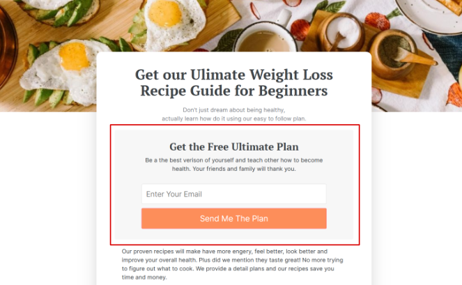 food-blog-landing-page - Blog Tyrant what-is-a-landing-page-example