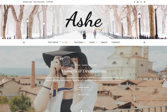 rsz_ashe-free-blog-theme - Blog Tyrant ashe free wordpress theme for bloggers
