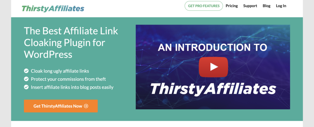 Screenshot-2024-07-19-at-43628 AM - Blog Tyrant thirstyaffiliates-plugin-wordpress