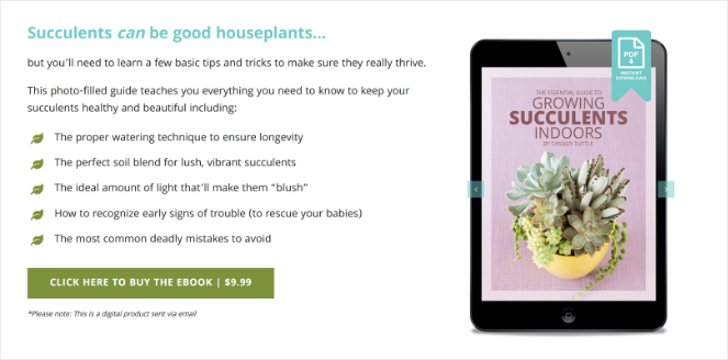 succulents-landing-page - Blog Tyrant succulents-and-sunshine-buy-ebook
